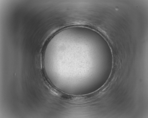 X0000074931171200609151931