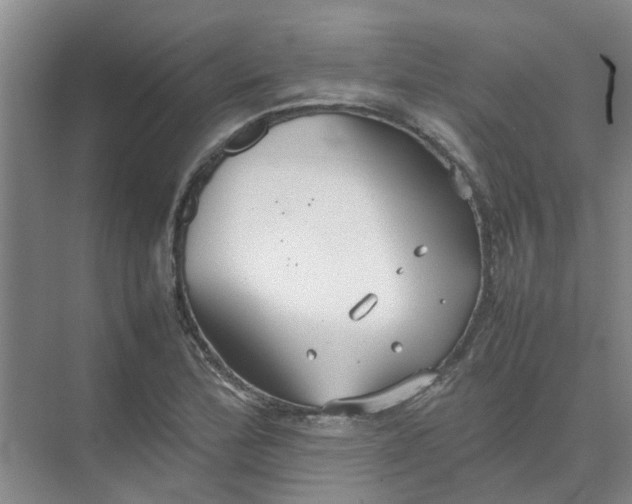 X0000074931172200609151931