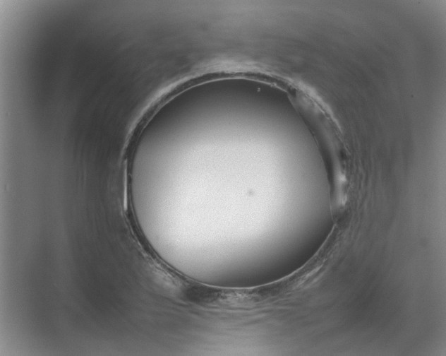 X0000074931175200609151931