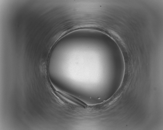 X0000074931177200609151931