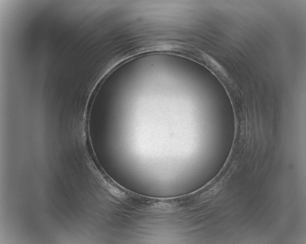 X0000074931178200609151931