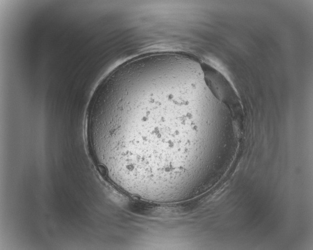 X0000074931179200609151931