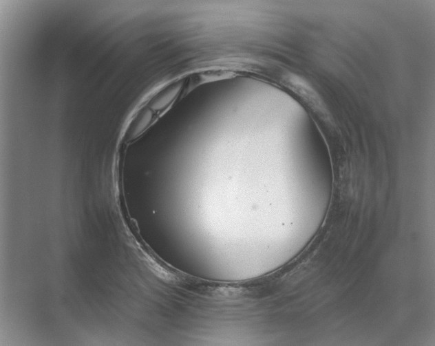 X0000074931180200609151931