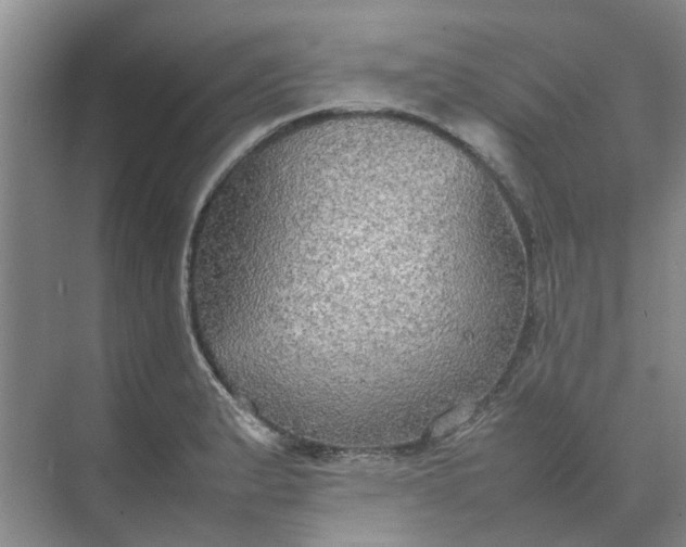 X0000074931183200609151931