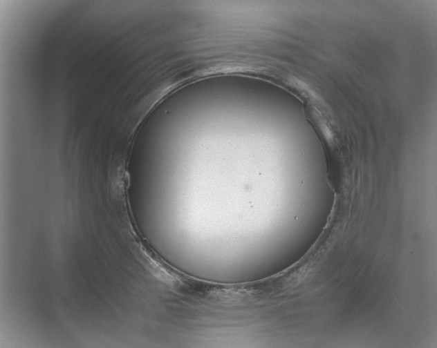 X0000074931185200609151931