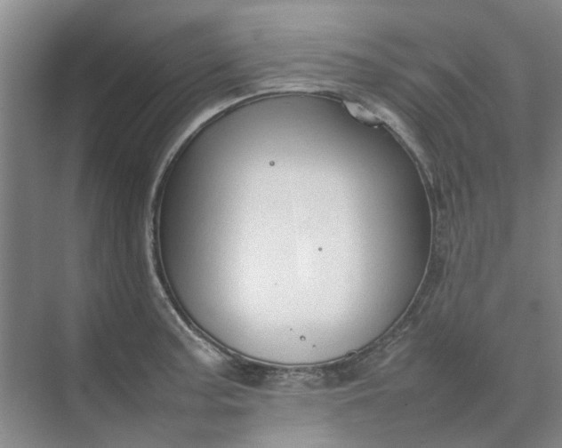 X0000074931187200609151931