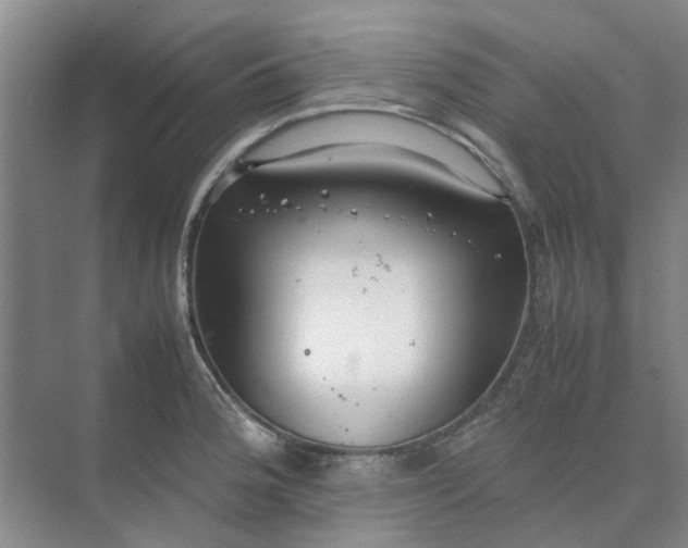 X0000074931188200609151931