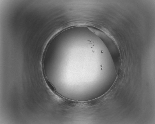 X0000074931189200609151931