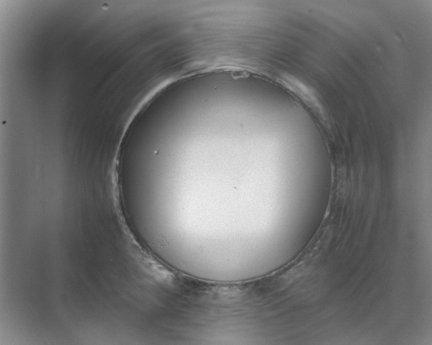 X0000074931190200609151931