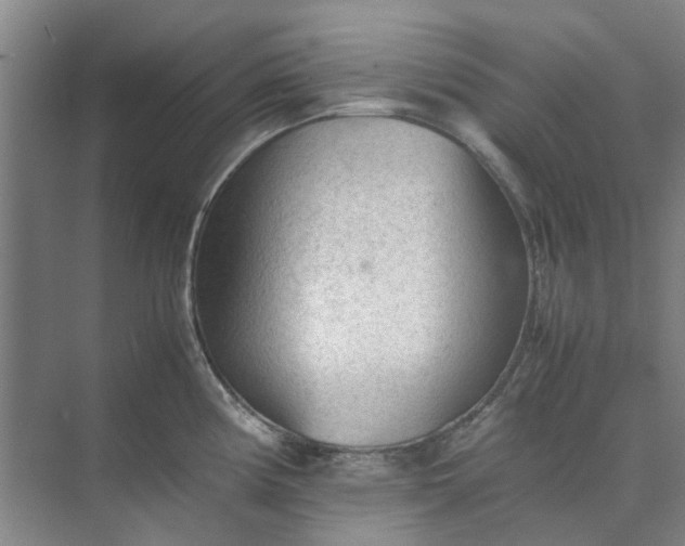 X0000074931194200609151931