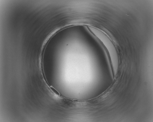 X0000074931196200609151931