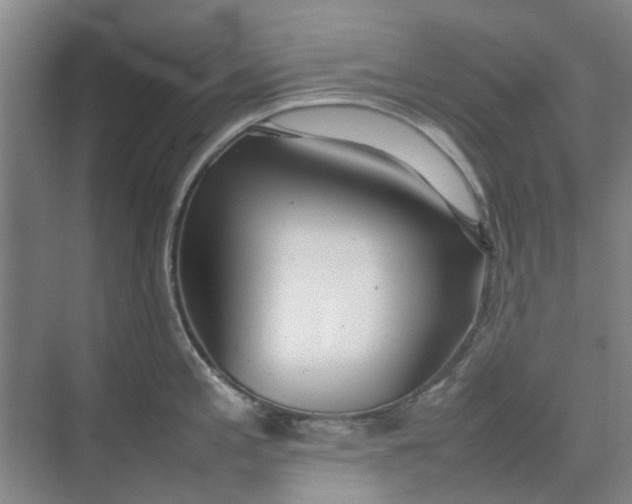 X0000074931197200609151931