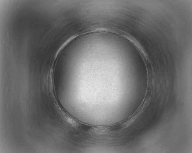 X0000074931198200609151931