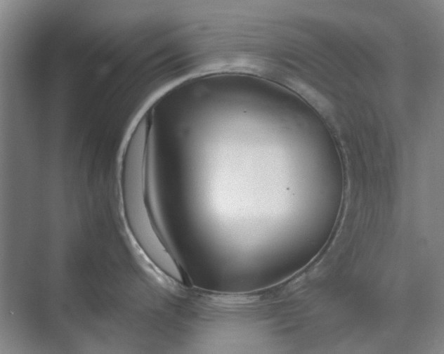 X0000074931200200609151931