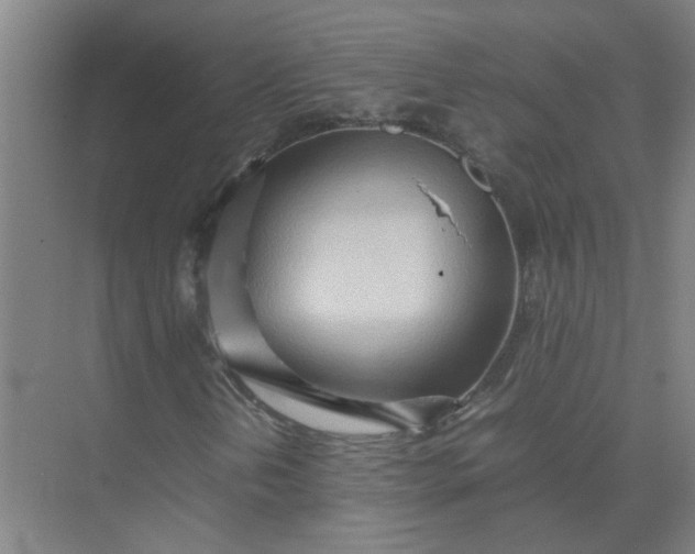 X0000074931202200609151930