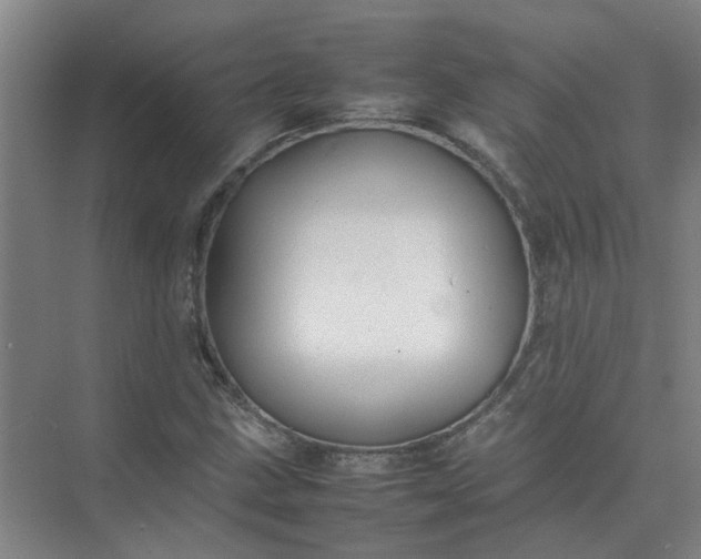 X0000074931211200609151930