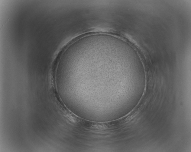 X0000074931215200609151930