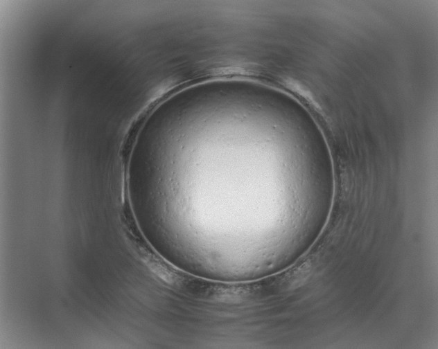 X0000074931219200609151930