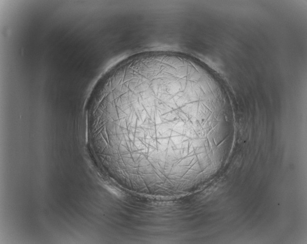 X0000074931223200609151930