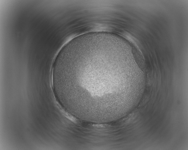 X0000074931227200609151930