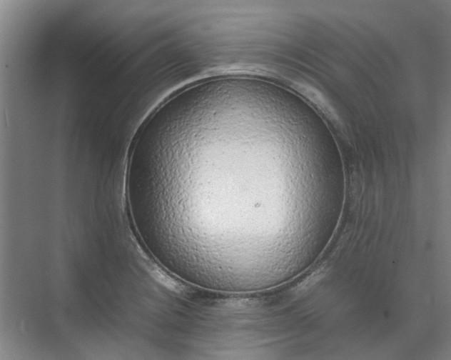 X0000074931228200609151930