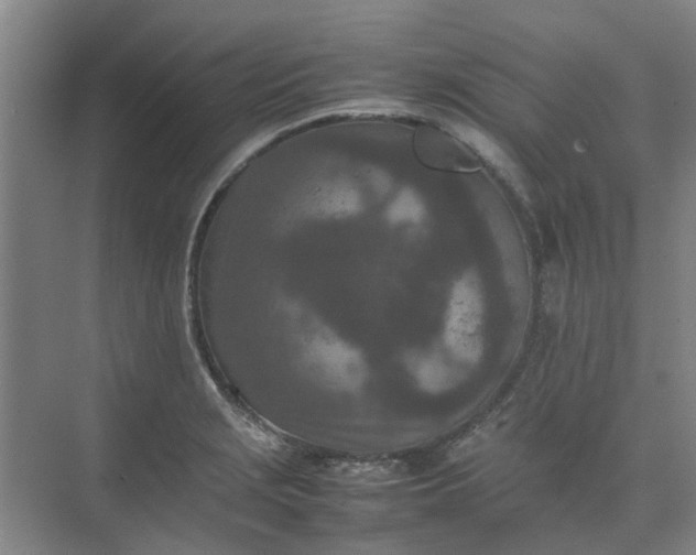 X0000074931229200609151930