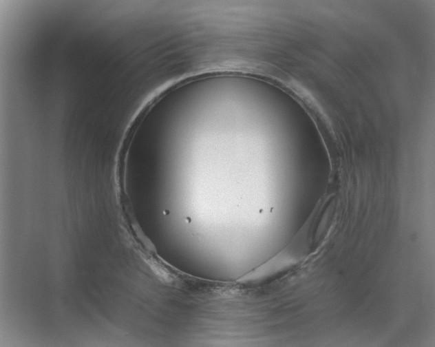 X0000074931230200609151930