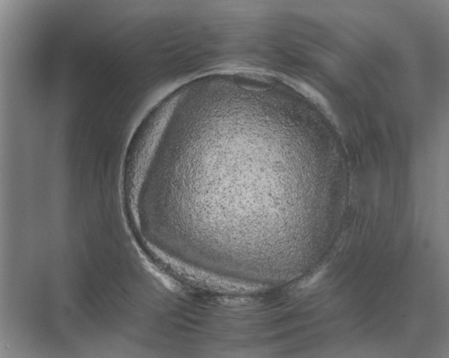 X0000074931231200609151930