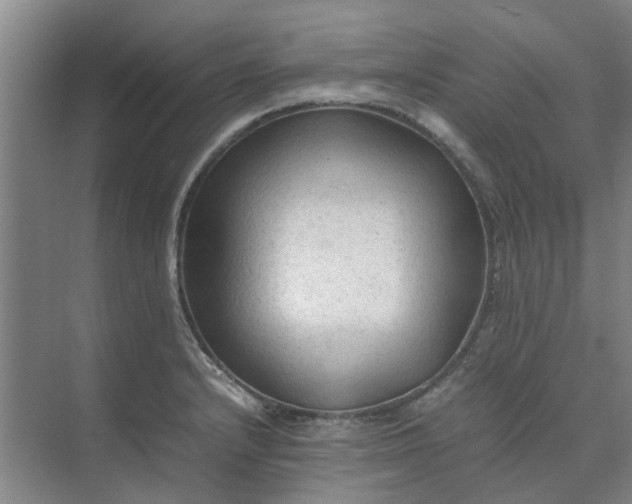 X0000074931232200609151930