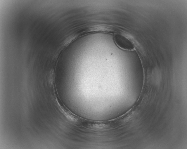 X0000074931233200609151930