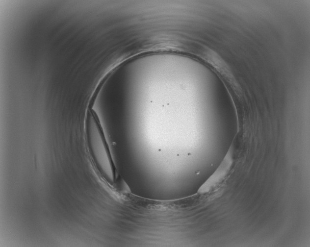 X0000074931234200609151930