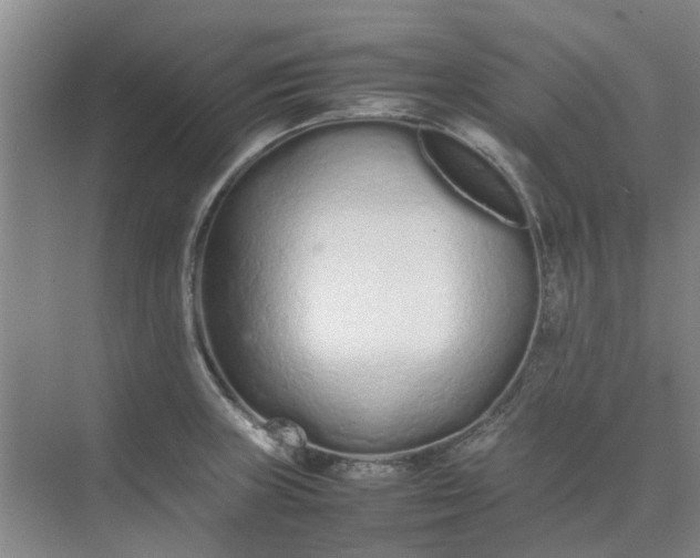 X0000074931235200609151930