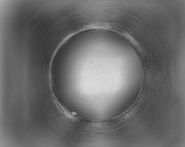 X0000074931240200609151930