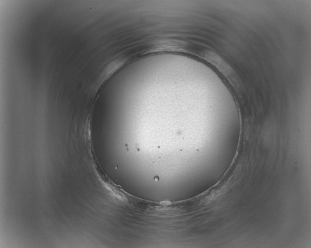 X0000074931241200609151930