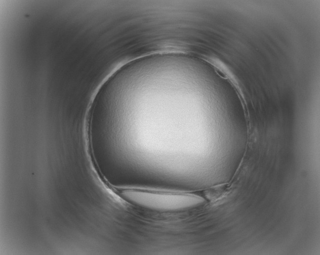 X0000074931243200609151930