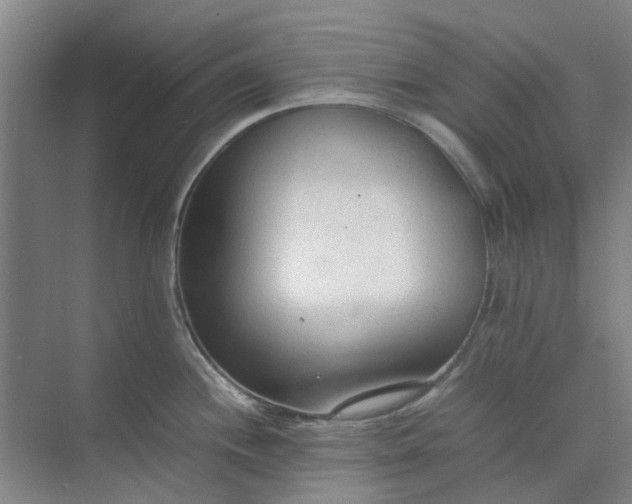 X0000074931244200609151930