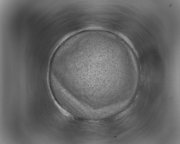 X0000074931245200609151930