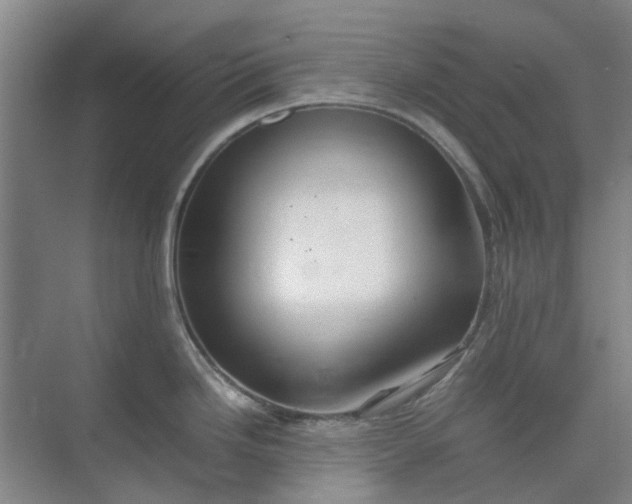 X0000074931246200609151930