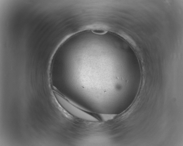 X0000074931248200609151931