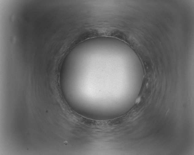 X0000074931249200609151930