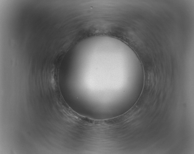 X0000074931250200609151930