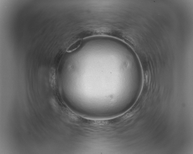 X0000074931251200609151930