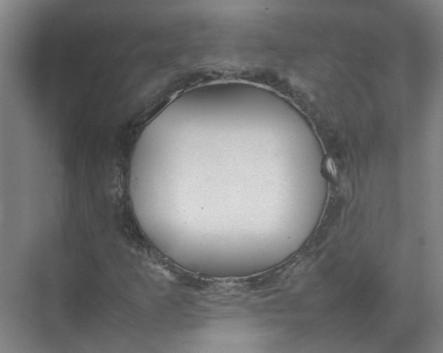 X0000074931253200609151930