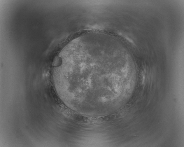 X0000074931254200609151930