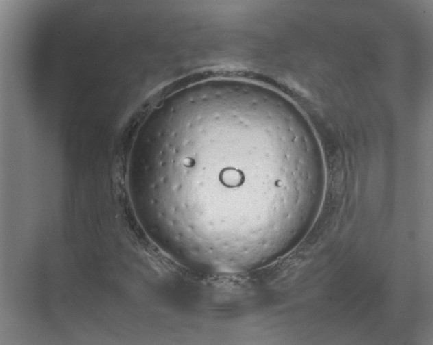 X0000074931255200609151930