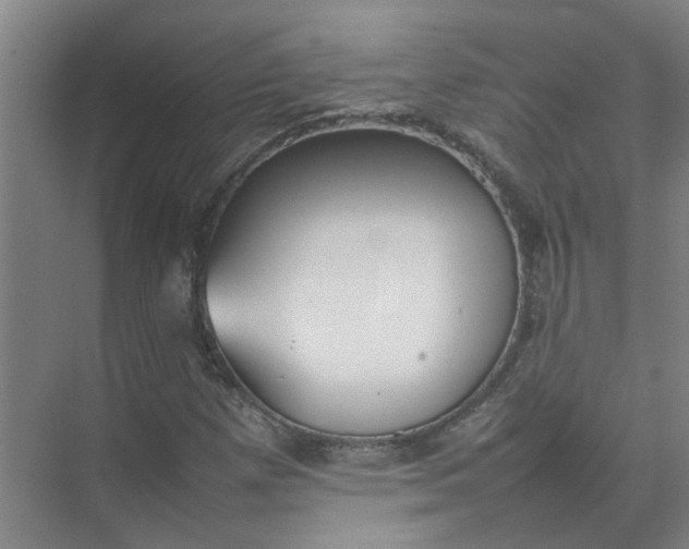 X0000074931257200609151930