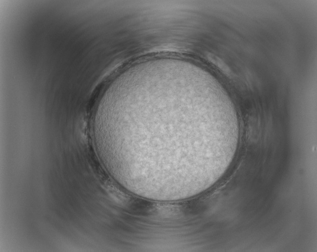 X0000074931258200609151930