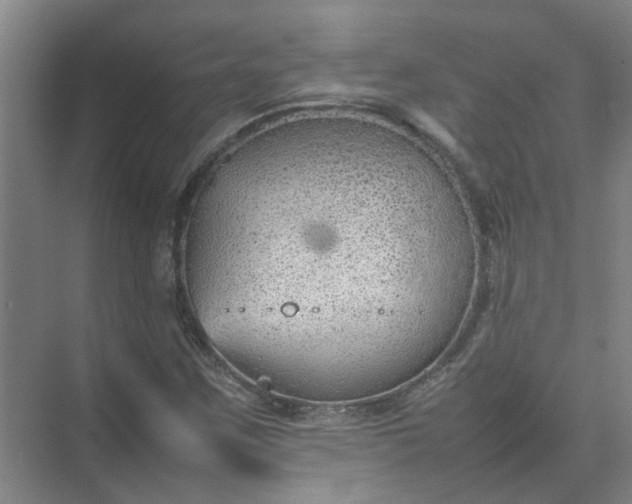 X0000074931259200609151930