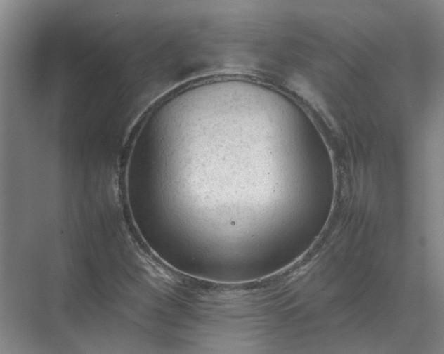 X0000074931260200609151930