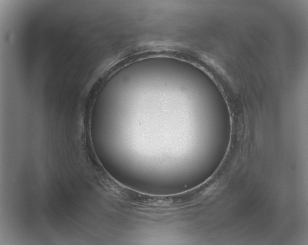 X0000074931261200609151930